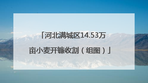 河北满城区14.53万亩小麦开镰收割（组图）