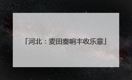 河北：麦田奏响丰收乐章