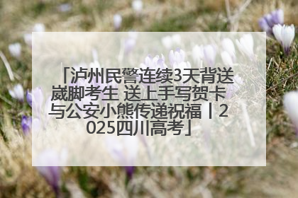泸州民警连续3天背送崴脚考生 送上手写贺卡与公安小熊传递祝福丨2025四川高考