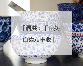 泗洪：千亩茭白喜获丰收