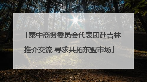 泰中商务委员会代表团赴吉林推介交流 寻求共拓东盟市场