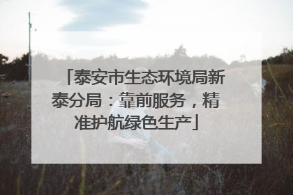 泰安市生态环境局新泰分局：靠前服务，精准护航绿色生产