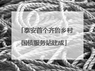 泰安首个齐鲁乡村国债服务站建成