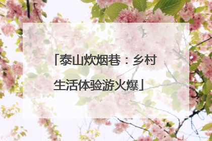 泰山炊烟巷：乡村生活体验游火爆