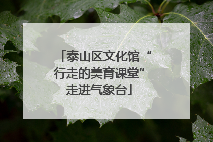 泰山区文化馆“行走的美育课堂”走进气象台