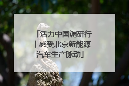 活力中国调研行丨感受北京新能源汽车生产脉动