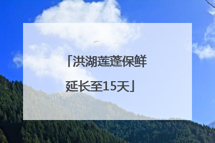洪湖莲蓬保鲜延长至15天