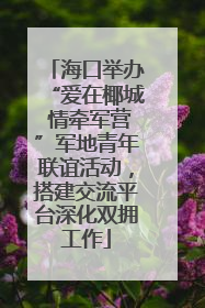 海口举办“爱在椰城 情牵军营”军地青年联谊活动，搭建交流平台深化双拥工作