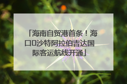 海南自贸港首条！海口⇌沙特阿拉伯吉达国际客运航线开通
