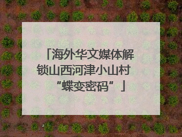 海外华文媒体解锁山西河津小山村“蝶变密码”