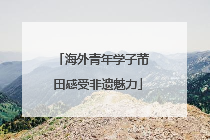 海外青年学子莆田感受非遗魅力