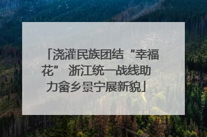 浇灌民族团结“幸福花” 浙江统一战线助力畲乡景宁展新貌