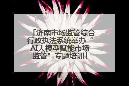 济南市场监管综合行政执法系统举办“AI大模型赋能市场监管”专题培训
