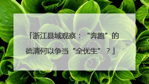 浙江县域观察：“奔跑”的德清何以争当“全优生”？