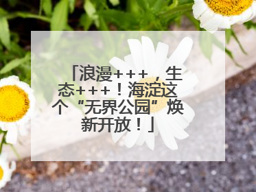 浪漫+++，生态+++！海淀这个“无界公园”焕新开放！