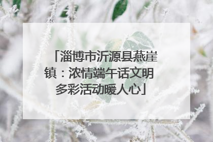 淄博市沂源县燕崖镇：浓情端午话文明 多彩活动暖人心