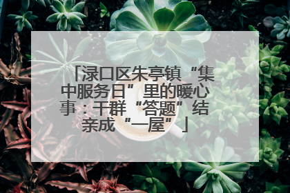 渌口区朱亭镇“集中服务日”里的暖心事：干群“答题”结亲成“一屋”