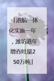 港航一体化实施一年，潍坊港年增吞吐量250万吨