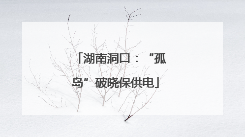 湖南洞口：“孤岛”破晓保供电