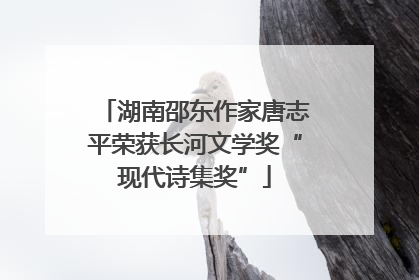 湖南邵东作家唐志平荣获长河文学奖“现代诗集奖”