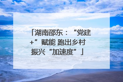 湖南邵东：“党建+”赋能 跑出乡村振兴“加速度”