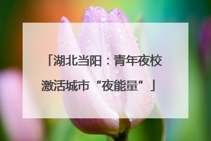 湖北当阳：青年夜校激活城市“夜能量”