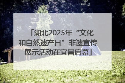 湖北2025年“文化和自然遗产日”非遗宣传展示活动在宜昌启幕