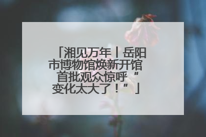 湘见万年丨岳阳市博物馆焕新开馆 首批观众惊呼“变化太大了！”