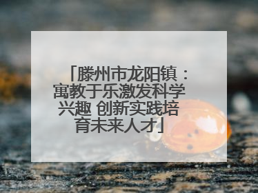 滕州市龙阳镇：寓教于乐激发科学兴趣 创新实践培育未来人才