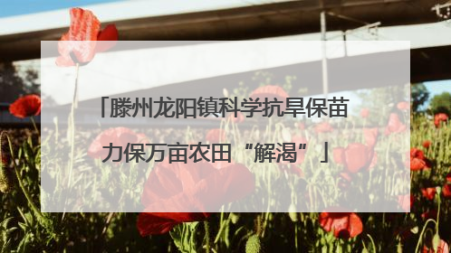 滕州龙阳镇科学抗旱保苗 力保万亩农田“解渴”