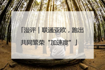 漫评｜联通亚欧，跑出共同繁荣“加速度”