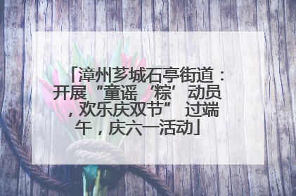 漳州芗城石亭街道：开展“童谣‘粽’动员，欢乐庆双节” 过端午，庆六一活动