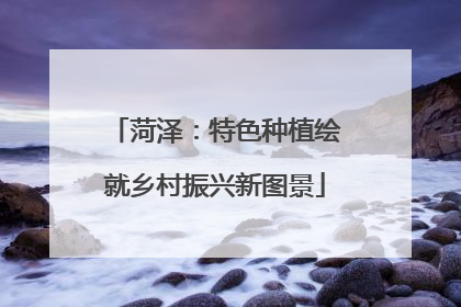菏泽：特色种植绘就乡村振兴新图景