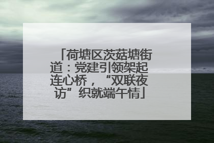 荷塘区茨菇塘街道：党建引领架起连心桥，“双联夜访”织就端午情