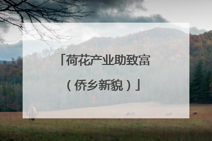 荷花产业助致富（侨乡新貌）