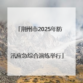 荆州市2025年防汛应急综合演练举行
