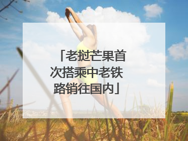 老挝芒果首次搭乘中老铁路销往国内