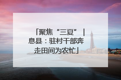 聚焦“三夏”｜息县：驻村干部奔走田间为农忙