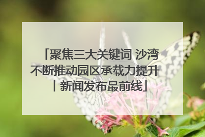 聚焦三大关键词 沙湾不断推动园区承载力提升丨新闻发布最前线
