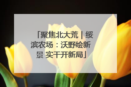 聚焦北大荒｜绥滨农场：沃野绘新景 实干开新局
