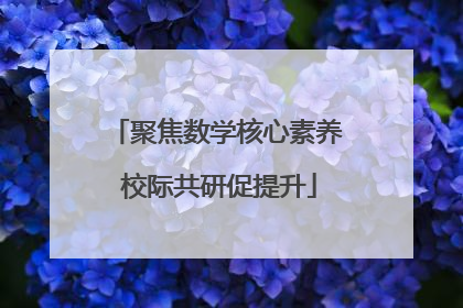 聚焦数学核心素养 校际共研促提升
