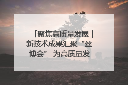 聚焦高质量发展｜新技术成果汇聚“丝博会” 为高质量发展注入新动能