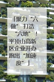 聚力“六做” 打造“六地”！平顶山高新区企业开办跑出“加速度”