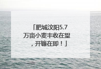 肥城汶阳5.7万亩小麦丰收在望，开镰在即！