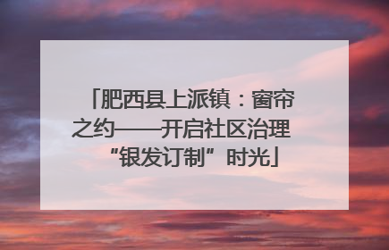 肥西县上派镇：窗帘之约——开启社区治理“银发订制”时光