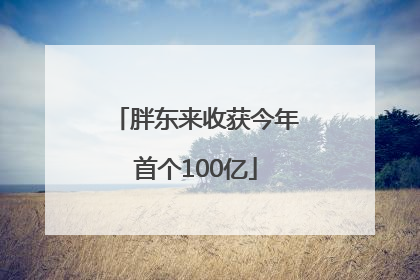 胖东来收获今年首个100亿