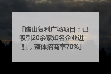 腊山复利广场项目：已吸引20余家知名企业进驻，整体招商率70%