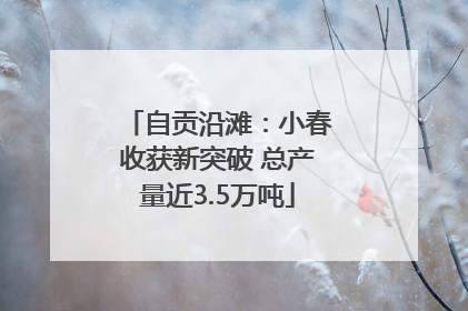 自贡沿滩：小春收获新突破 总产量近3.5万吨
