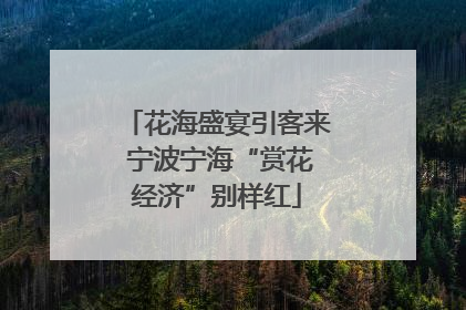 花海盛宴引客来 宁波宁海“赏花经济”别样红
