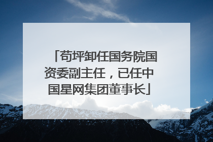 苟坪卸任国务院国资委副主任，已任中国星网集团董事长